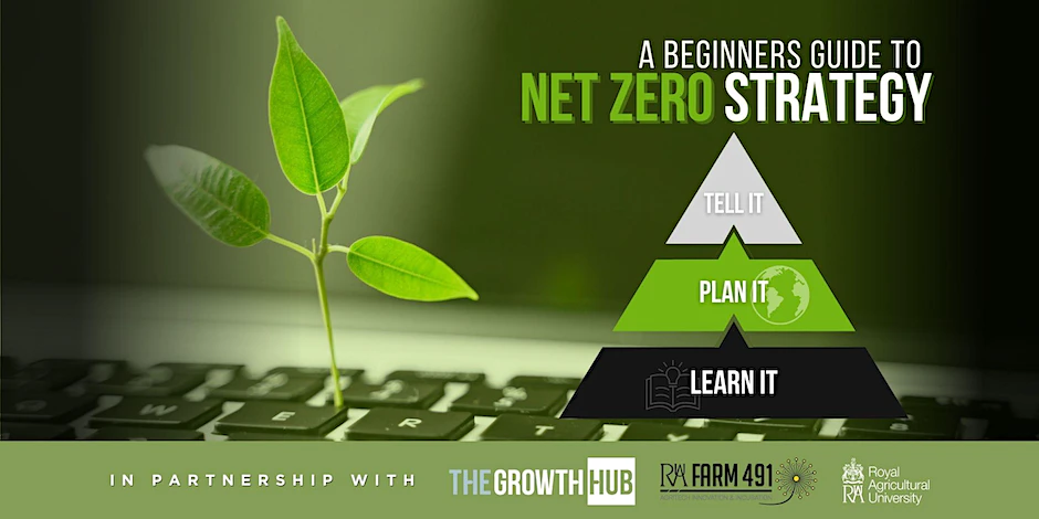 Net Zero strategy workshop
